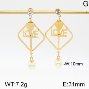 Stainless Steel Earrings  5E3000469vbmb-382