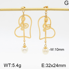 Stainless Steel Earrings  5E3000470vbmb-382