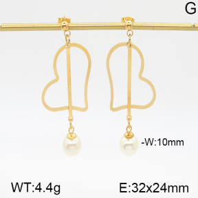 Stainless Steel Earrings  5E3000471vbmb-382