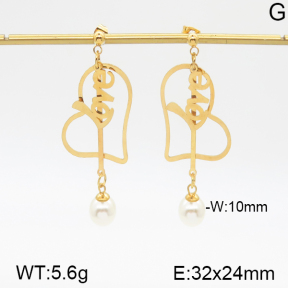 Stainless Steel Earrings  5E3000472vbmb-382