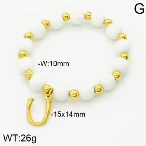 Stainless Steel Bracelet  2B4001480vbpb-685