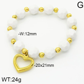 Stainless Steel Bracelet  2B4001483vbpb-685