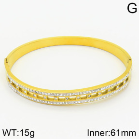 Stainless Steel Bangle  2BA400487bhbl-739