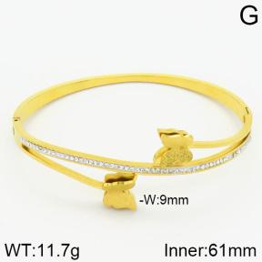 Stainless Steel Bangle  2BA400494abol-739