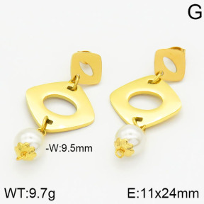 Stainless Steel Earrings  2E3000700baka-685