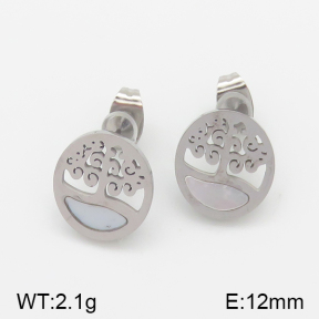 Stainless Steel Earrings  5E2001353vbmb-493