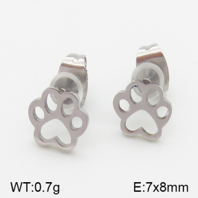 Stainless Steel Earrings  5E2001354avja-493