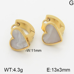 Stainless Steel Earrings  5E3000476vbnl-669
