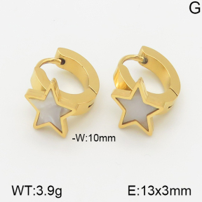 Stainless Steel Earrings  5E3000479vbnl-669