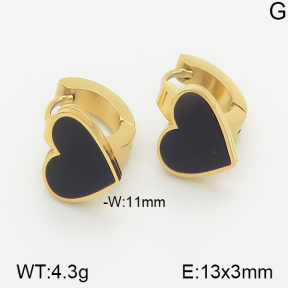 Stainless Steel Earrings  5E4001070vbnl-669