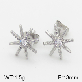 Stainless Steel Earrings  5E4001075vbll-493