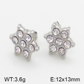 Stainless Steel Earrings  5E4001077vbll-493
