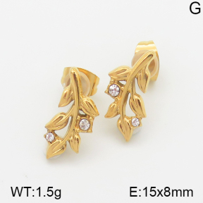 Stainless Steel Earrings  5E4001078vbmb-493