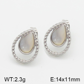 Stainless Steel Earrings  5E4001084vbll-493