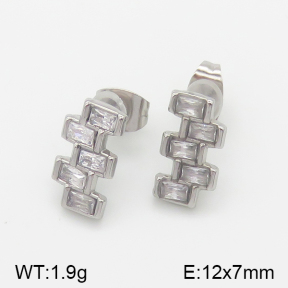 Stainless Steel Earrings  5E4001085vbmb-493