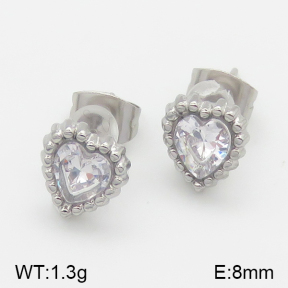 Stainless Steel Earrings  5E4001087vbll-493