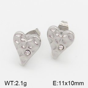 Stainless Steel Earrings  5E4001089vbll-493