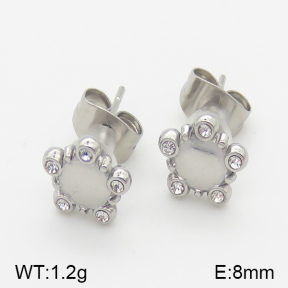Stainless Steel Earrings  5E4001091vbll-493