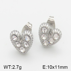 Stainless Steel Earrings  5E4001092vbll-493