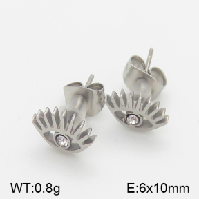 Stainless Steel Earrings  5E4001093vbll-493