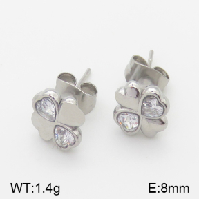 Stainless Steel Earrings  5E4001094vbll-493