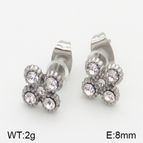 Stainless Steel Earrings  5E4001096vbll-493