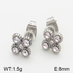 Stainless Steel Earrings  5E4001097vbll-493