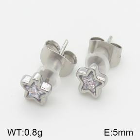 Stainless Steel Earrings  5E4001100vbll-493