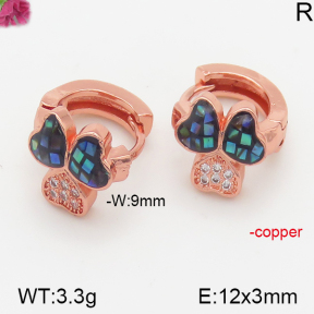 Fashion Copper Earrings  F5E300175vhmv-J128