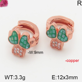 Fashion Copper Earrings  F5E300176vhmv-J128
