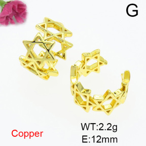 Fashion Copper Earrings  F6E200181baka-L024