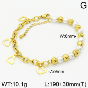 Stainless Steel Bracelet  2B3000981bhva-436