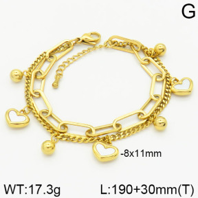 Stainless Steel Bracelet  2B3001019ahjb-436