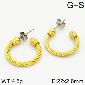 Stainless Steel Earrings  2E2000940bhia-722