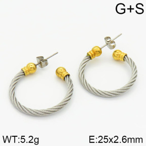 Stainless Steel Earrings  2E2000941vhha-722