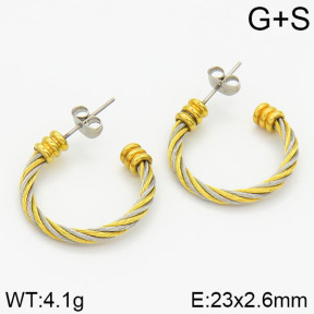 Stainless Steel Earrings  2E2000942bhia-722