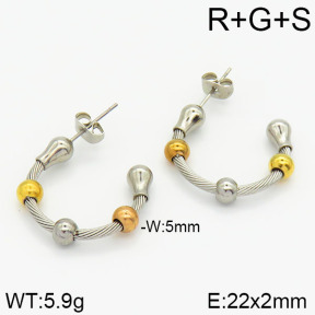 Stainless Steel Earrings  2E2000946bhia-722