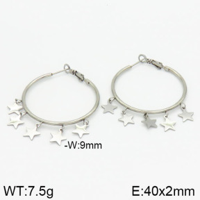 Stainless Steel Earrings  2E2000947bhva-722