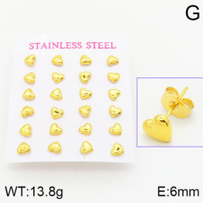 Stainless Steel Earrings  2E2000953vhnv-740