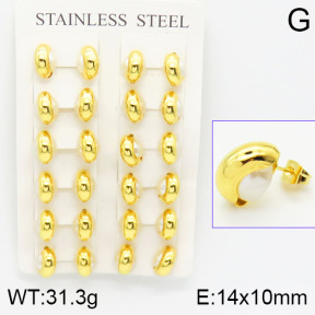 Stainless Steel Earrings  2E3000704ajvb-740