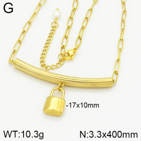 Stainless Steel Necklace  2N3000552vbnb-312