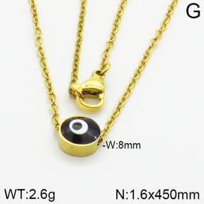 Stainless Steel Necklace  2N3000595aaio-413