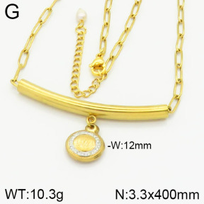 Stainless Steel Necklace  2N4000789vbnl-312
