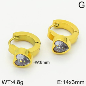 Stainless Steel Earrings  2E4001340vbnl-669
