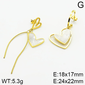 Stainless Steel Earrings  2E4001341vbpb-669