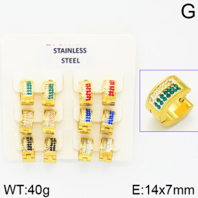 Stainless Steel Earrings  2E4001342ajvb-658