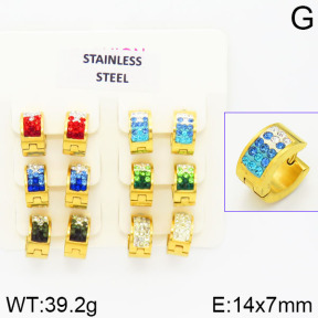 Stainless Steel Earrings  2E4001343ajvb-658