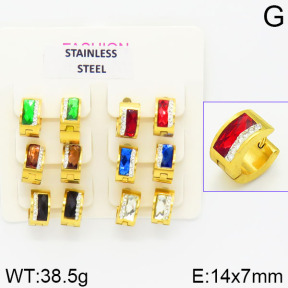 Stainless Steel Earrings  2E4001344ajvb-658
