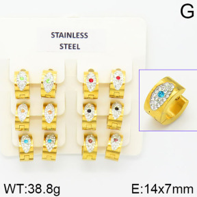 Stainless Steel Earrings  2E4001345ajvb-658