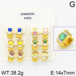 Stainless Steel Earrings  2E4001346ajvb-658
